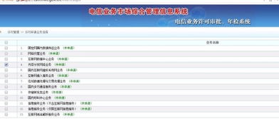 理解ICP经营性许可证中的互联网信息服务选项